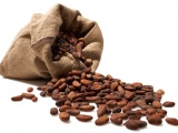 Какао-масло використання в косметичних і лікувальних цілях, жіночий сайт