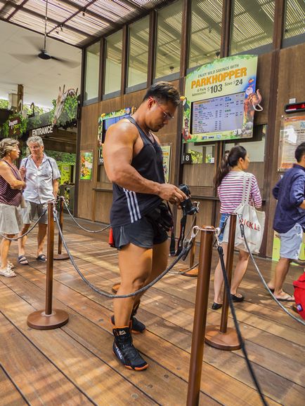 Cum se ajunge la grădina zoologică din Singapore, blogsiam, Siam de interior