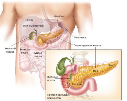 Які симптоми і причини має гіперфункція підшлункової залози, панкреатит