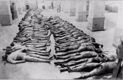 Hogyan osztálya az NKVD a nők verte ki a szükséges bizonyítékokat adfave (bizonyság) Hogy a nők a szervezeti egységek az NKVD kiütötte szükséges bizonyítékok adfave