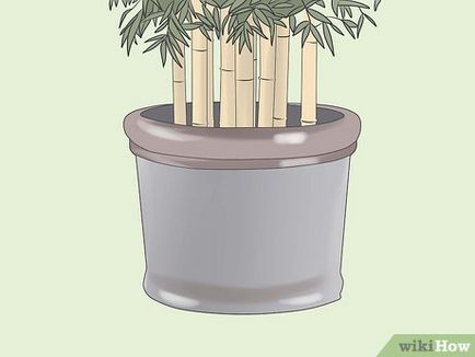 Cum să scapi de păduri de bambus