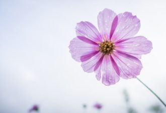 Hogyan kell kezelni a durva emberek pszichológiai tanácsadás