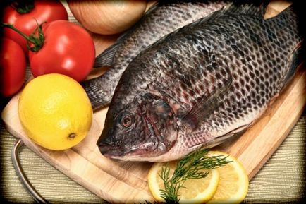 Яка калорійність риби - скільки калорій в рибі різних сортів