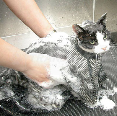 Як помити норовливу кішку