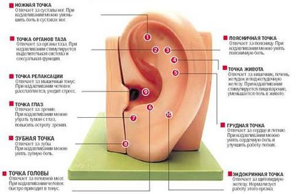 Cum să vă masați corect urechile