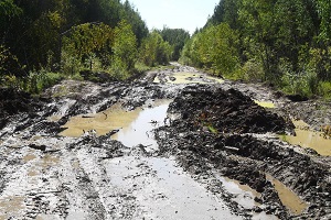 Як подолати бездоріжжя поради професіоналів