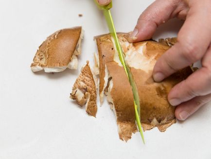 Як приготувати гриби портобелло - vripmaster