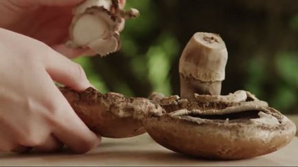 Cum sa faci ciuperci Portobello - vripmaster