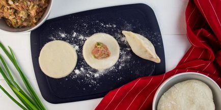 Cum să gătești japoneză pelmeni gödz