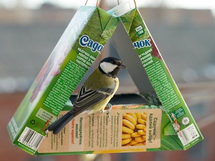 Cum să faci un alimentator de păsări de către propriile mâini instrucțiuni pas cu pas foto
