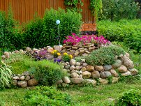 Як зберегти водяний гіацинт взимку, квіти в саду (садиба)