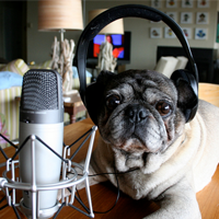 Cum de a alege un microfon USB pentru înregistrarea podcast-urilor