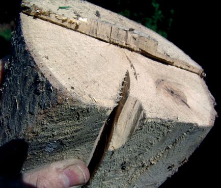 Cum să usuci o astfel de cocoașă, sculptând lemn, os și piatră