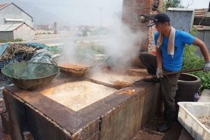 Ca și în China, produceți creveți fals (8 fotografii) - trinitate