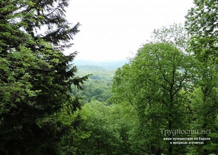 Капела Ле Корбюзьє в Роншане статті