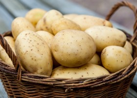 Compoziție purpură de cartofi, valoare calorică, beneficii, rețete