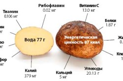 Картопля при цукровому діабеті