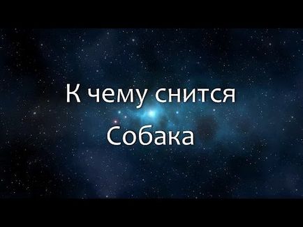 До чого сняться собаки жінці, чоловікові - сонник