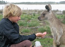 Kangaroo - Boomerul australian, chronoton