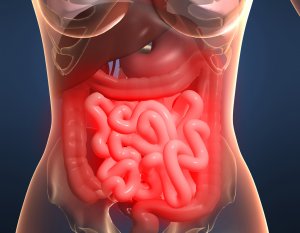 Tulburări de candidoză intestinală, diagnostic, tratament și caracteristici patofiziologice ale bolii