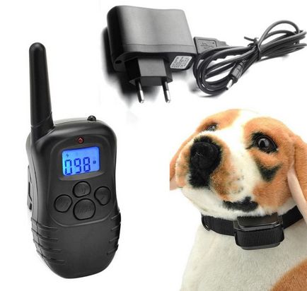 Clicker și tipuri electronice de guler pentru câini și reguli de utilizare, recenzii