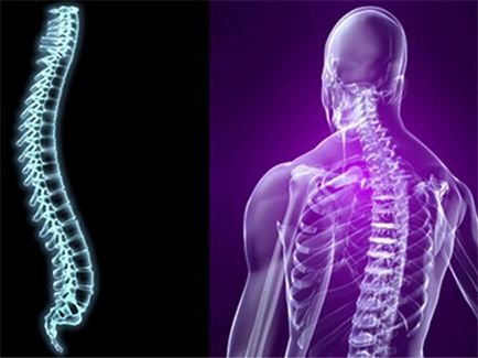 Клініка Бобиря - ефективне лікування спини і хребта - суспільство