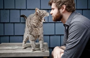 Когтеточка для кішки врятує квартиру від ремонту - донський сфінкс Крисік