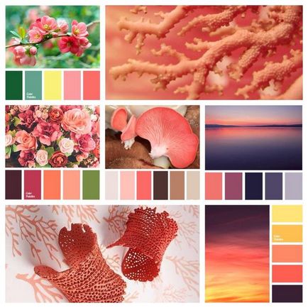 Coral szín a szekrény kombájn helyesen - női útmutató