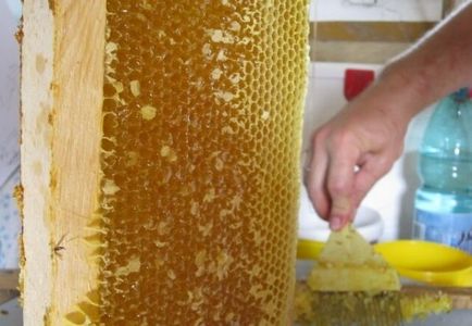 Коріандровий мед корисні властивості і протипоказання