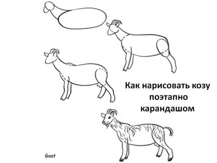 Kozlik desenată în etape - învățăm să desenezi animale - audioteka