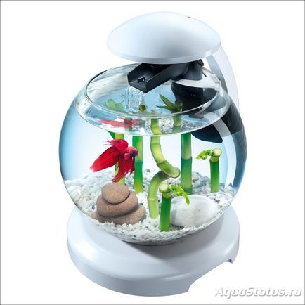 круглий акваріум