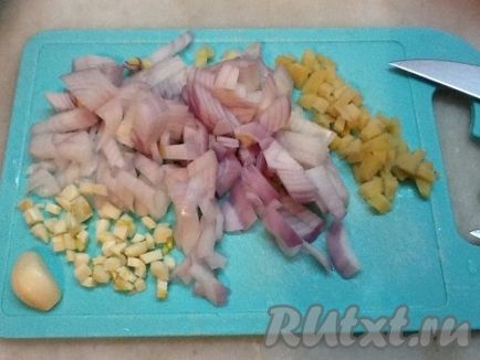 Carne de pui in sos de spice indian - reteta cu fotografie