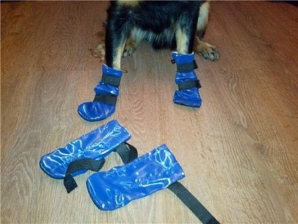 Лаплай »огляд взуття для собак від лаплай