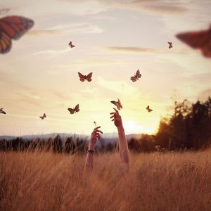 Ловля метеликів - журнал «езотерія»