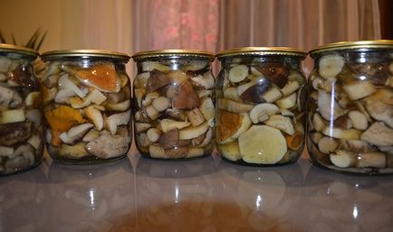 Valois pácolt téli recepteket, mint a pácolt gombát üvegekbe otthon