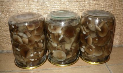 Valois pácolt téli recepteket, mint a pácolt gombát üvegekbe otthon