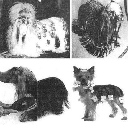 Maria Sotskaya - pielea și haina unui câine