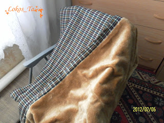 Fur Plaid, Țara de masterat