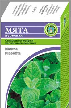 М'ята перцева лікувальні властивості, корисні властивості, застосування, протипоказання