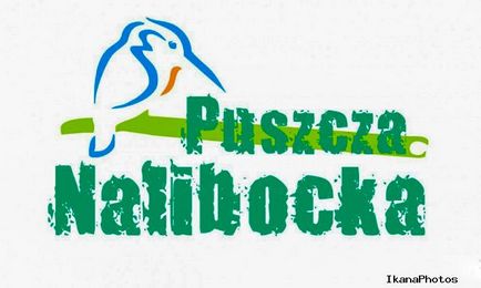 Налібокская пуща природна пам'ятка білорусі