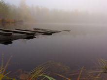 Nalibokskaya Pushcha este un punct de reper natural al Belarusului