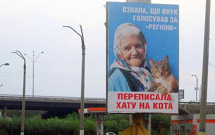 Знайшлася зоряна бабуся, яка «переписала хату на кота»