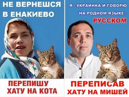 Знайшлася зоряна бабуся, яка «переписала хату на кота»