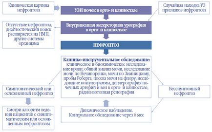 Нефроптоз від постановки діагнозу до тактики ведення, урологія сьогодні