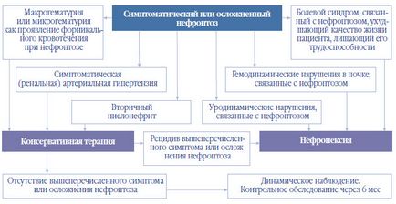 Нефроптоз від постановки діагнозу до тактики ведення, урологія сьогодні