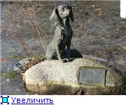 Egyes emlékek a legismertebb kutya)) kutyás hűségesen