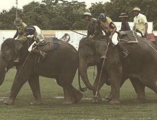 Jocurile non-olimpice Quidditch, rugby-ul subacvatic, aruncarea tonului și alte 15 competiții neobișnuite