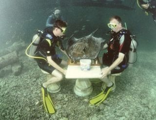 Неолімпійські ігри квідич, підводне регбі, метання тунця і ще 15 незвичайних змагань