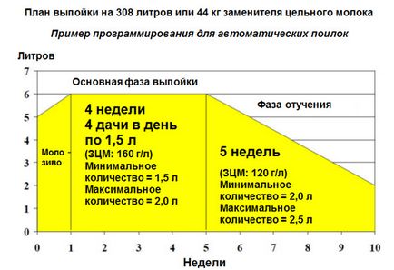 Új trendek a takarmányozás borjak (1. rész)