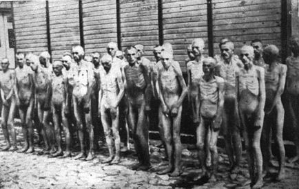 La prizonierii lagărelor de concentrare, blogger lisenok pe site-ul de pe 12 noiembrie 2013, o bârfă
